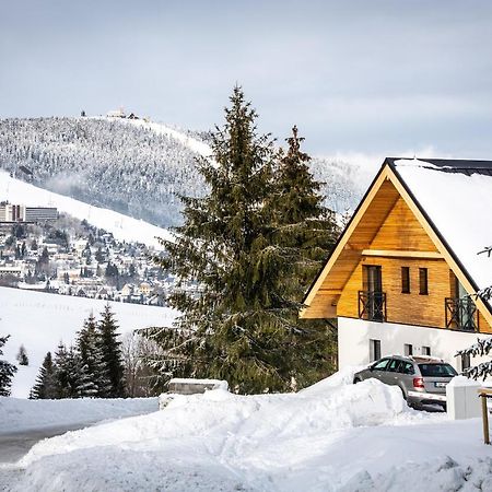 Ski Chalet Klinovec Loučná pod Klínovcem Dış mekan fotoğraf