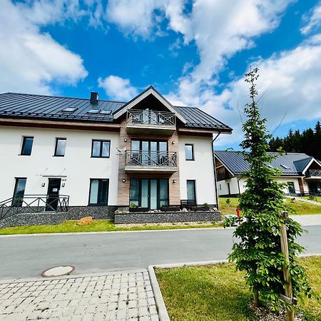 Ski Chalet Klinovec Loučná pod Klínovcem Dış mekan fotoğraf