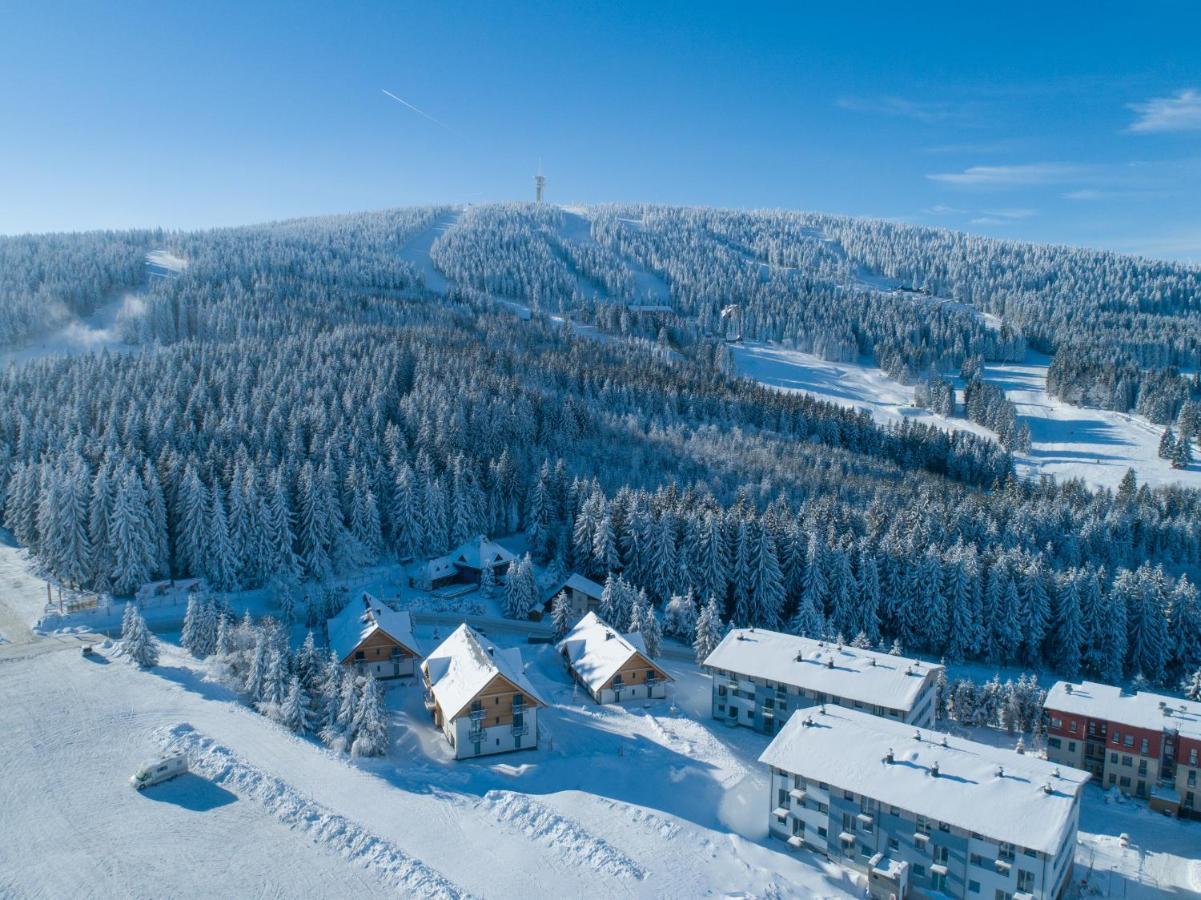 Ski Chalet Klinovec Loučná pod Klínovcem Dış mekan fotoğraf