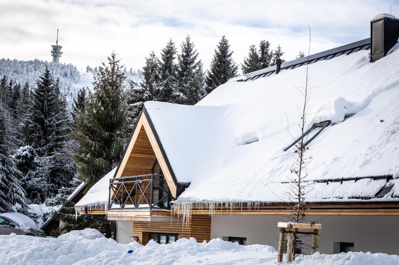 Ski Chalet Klinovec Loučná pod Klínovcem Dış mekan fotoğraf