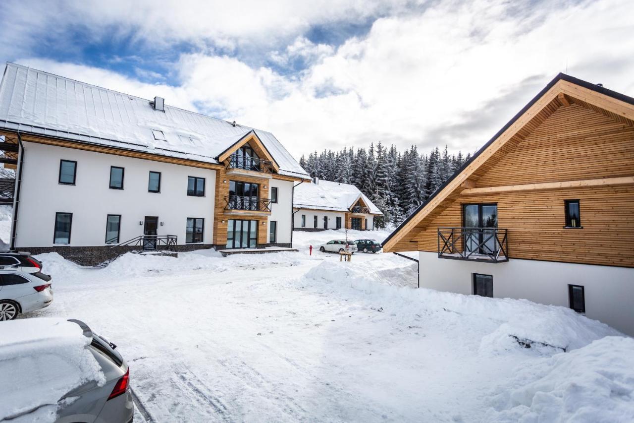 Ski Chalet Klinovec Loučná pod Klínovcem Dış mekan fotoğraf