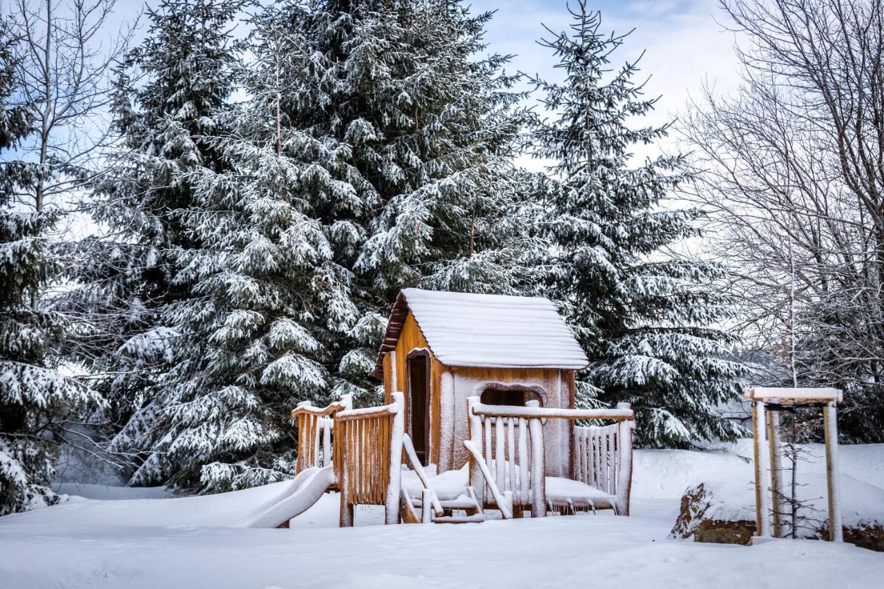 Ski Chalet Klinovec Loučná pod Klínovcem Dış mekan fotoğraf