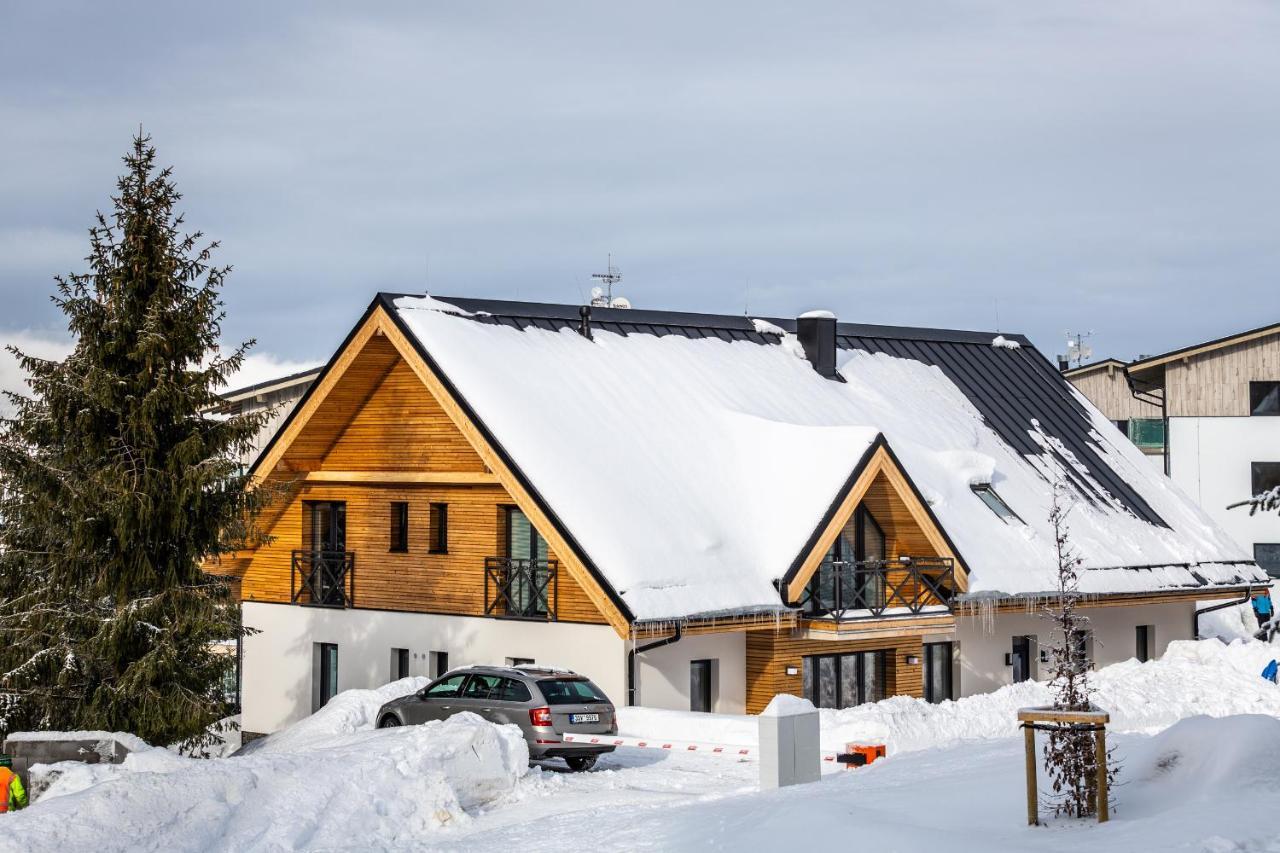 Ski Chalet Klinovec Loučná pod Klínovcem Dış mekan fotoğraf