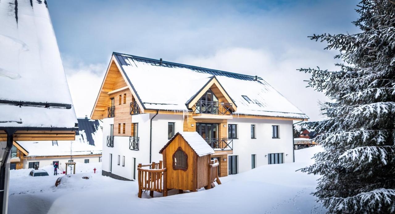 Ski Chalet Klinovec Loučná pod Klínovcem Dış mekan fotoğraf