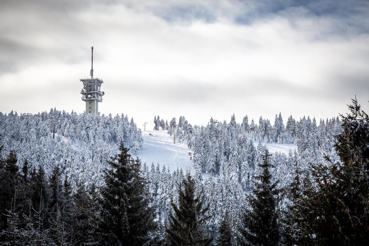 Ski Chalet Klinovec Loučná pod Klínovcem Dış mekan fotoğraf