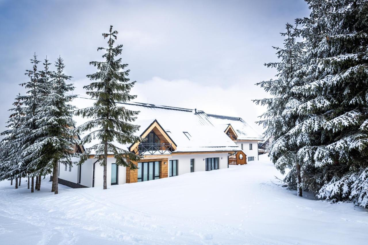 Ski Chalet Klinovec Loučná pod Klínovcem Dış mekan fotoğraf