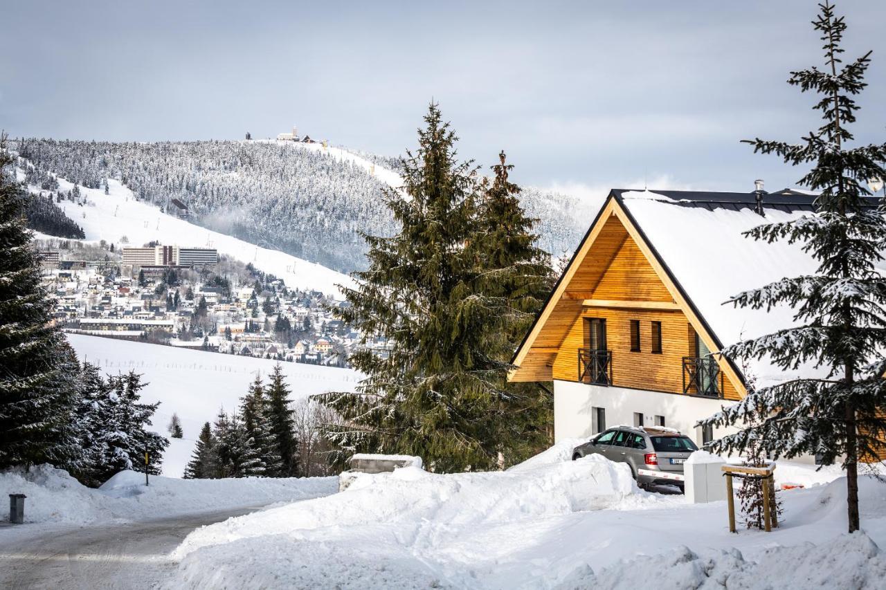 Ski Chalet Klinovec Loučná pod Klínovcem Dış mekan fotoğraf