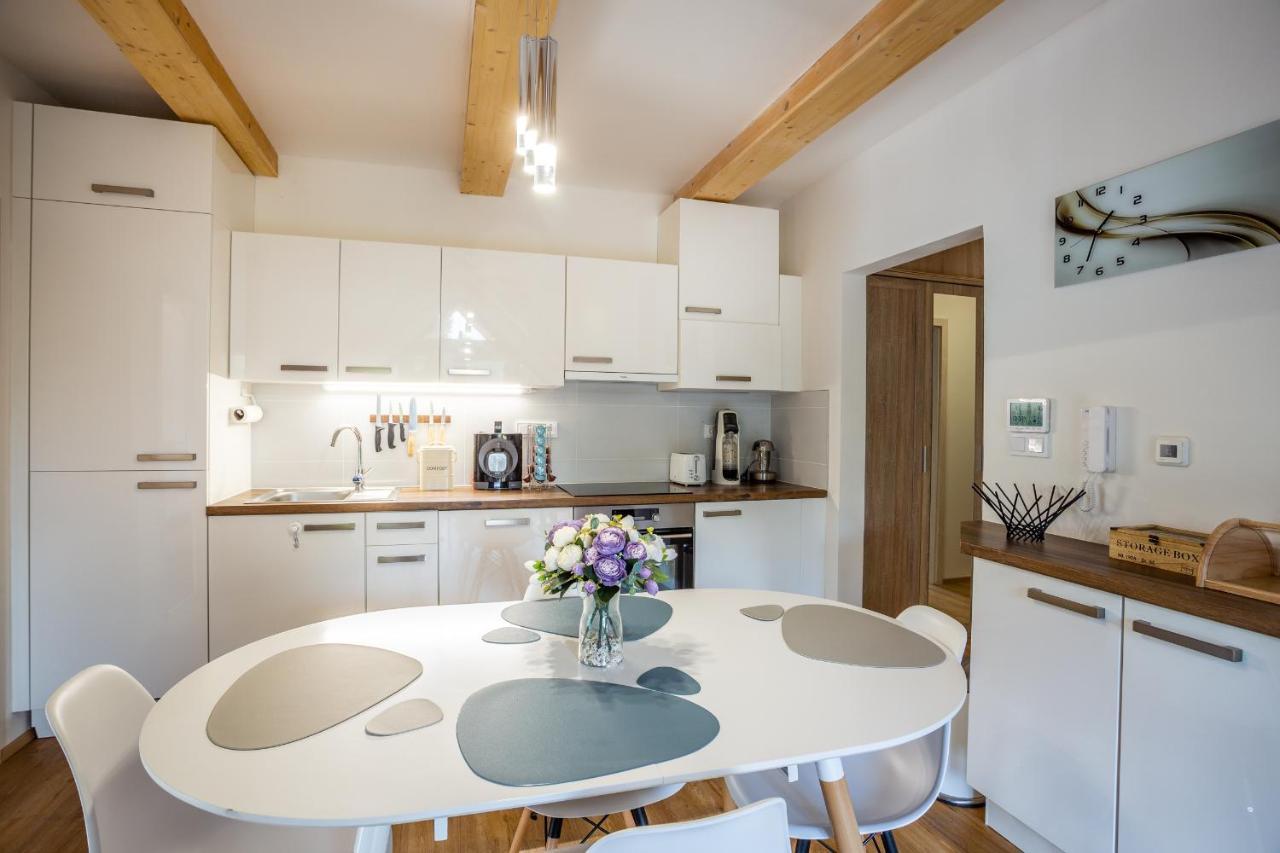Ski Chalet Klinovec Loučná pod Klínovcem Dış mekan fotoğraf