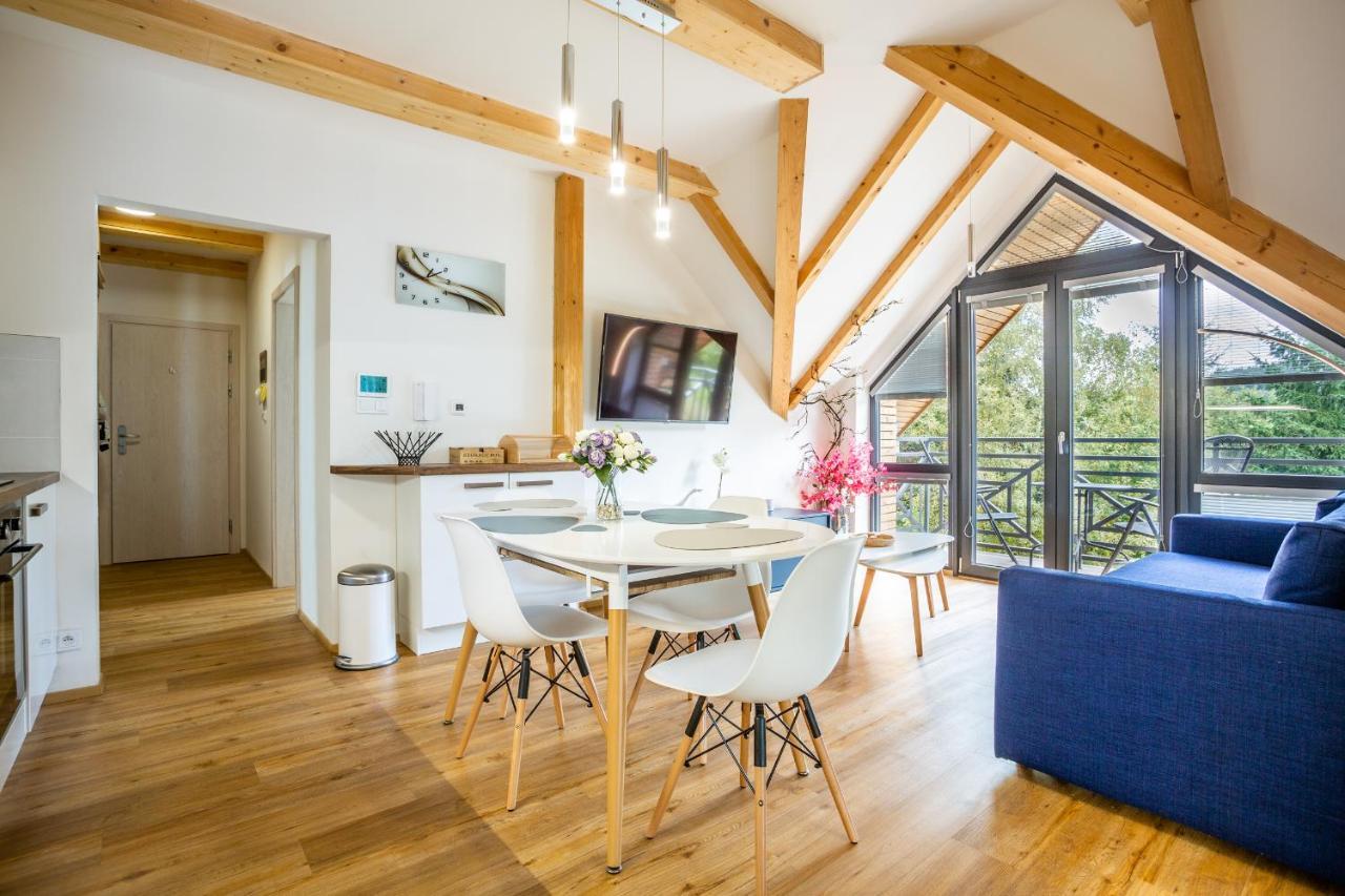 Ski Chalet Klinovec Loučná pod Klínovcem Dış mekan fotoğraf