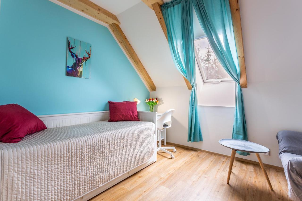 Ski Chalet Klinovec Loučná pod Klínovcem Dış mekan fotoğraf