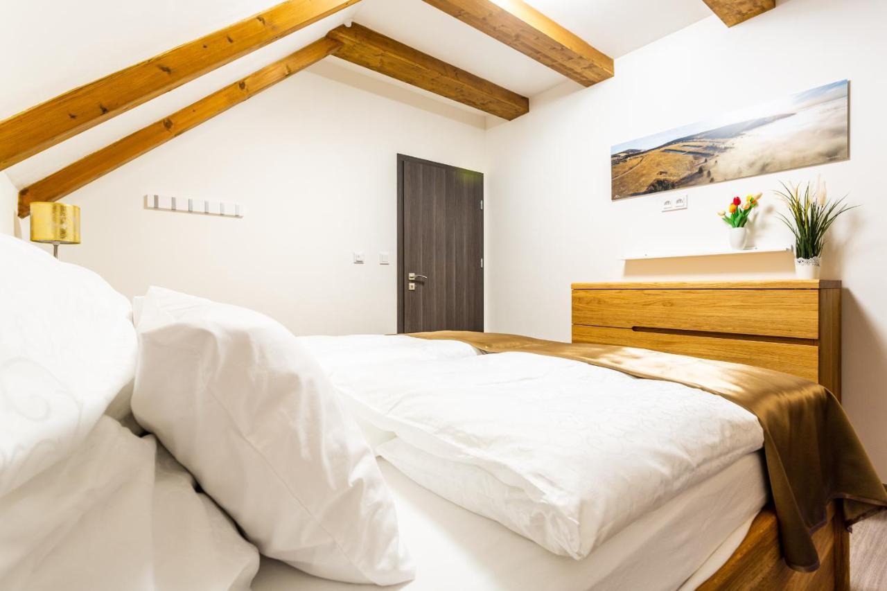 Ski Chalet Klinovec Loučná pod Klínovcem Dış mekan fotoğraf